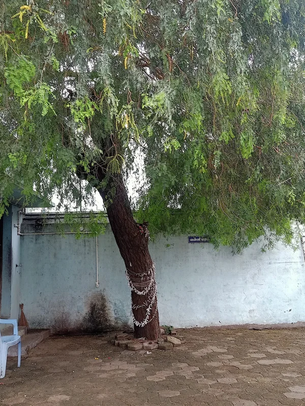 விளங்குளம் ஸ்ரீ அட்சயபுரீஸ்வரர் கோயில்