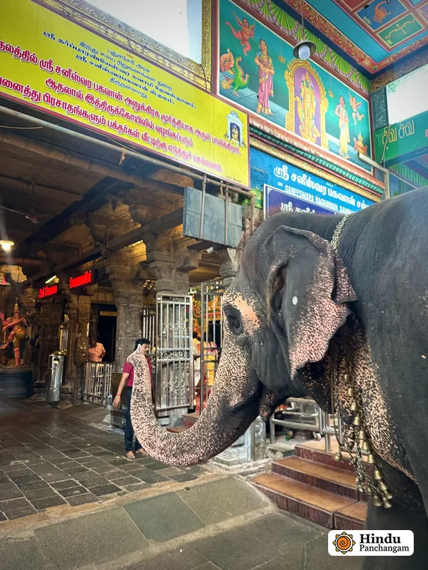 Thirunallar Saneeswaran Temple